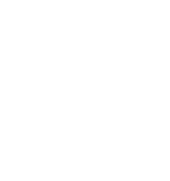 Zoin - Digital currency with anonymity features